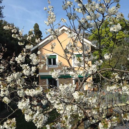 B&B La Rosa Segreta Janov Exteriér fotografie