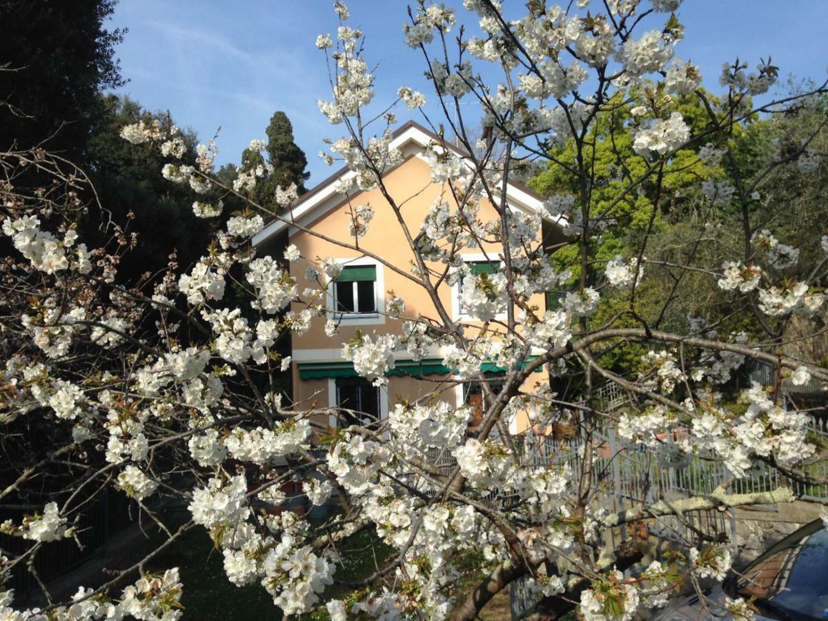 B&B La Rosa Segreta Janov Exteriér fotografie